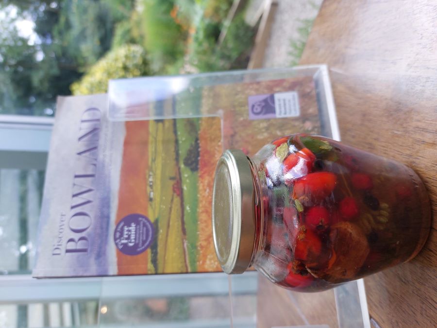 Feast Bowland Herbal Medicine Event Feast Bowland Herbal Medicine Event