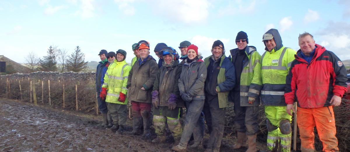 Burn House hedge laying group (Forest of Bowland National Landscape)