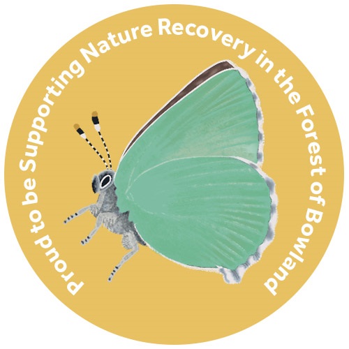 Champion Species Artwork by Saltmarsh Studios Champion Species Artwork by Saltmarsh Studios