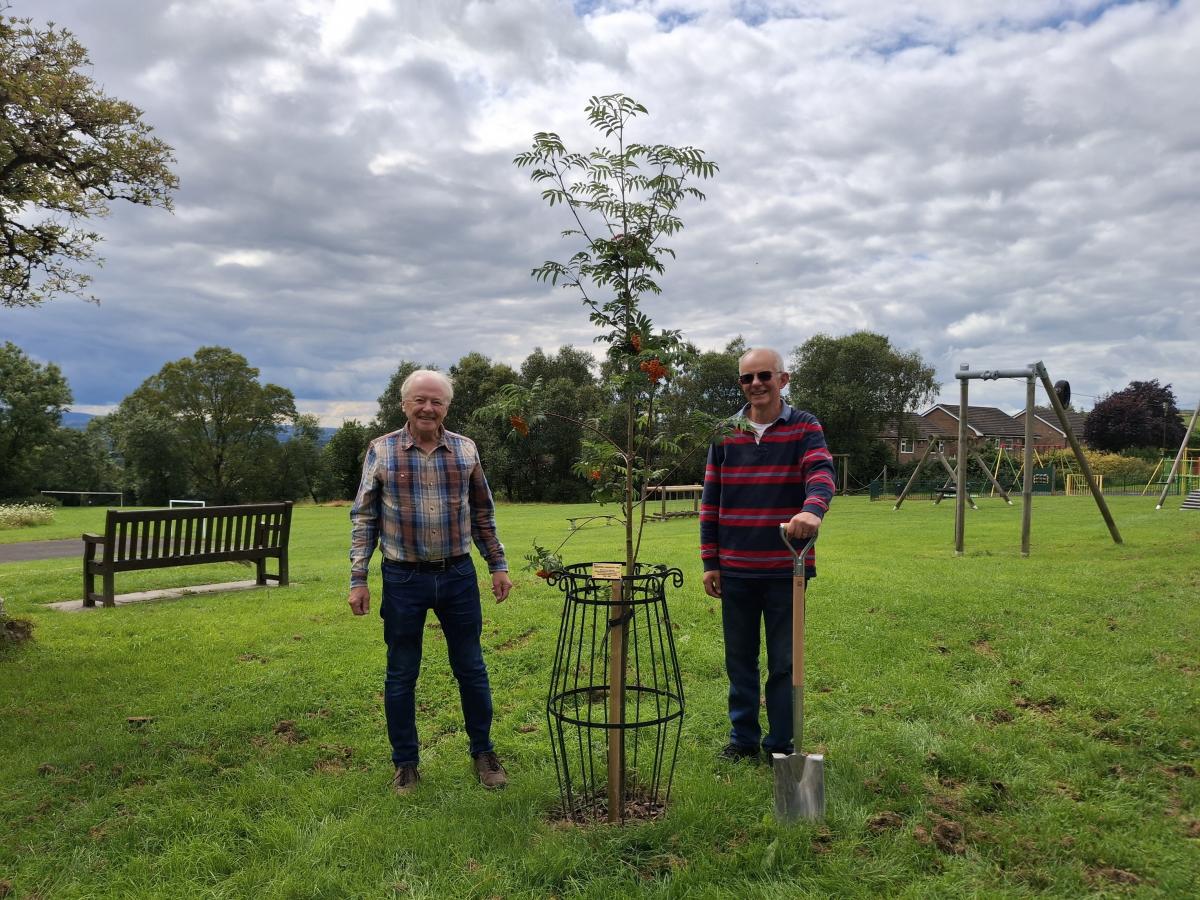 Higham with West Close Parish Council_Landmark Tree Higham with West Close Parish Council_Landmark Tree