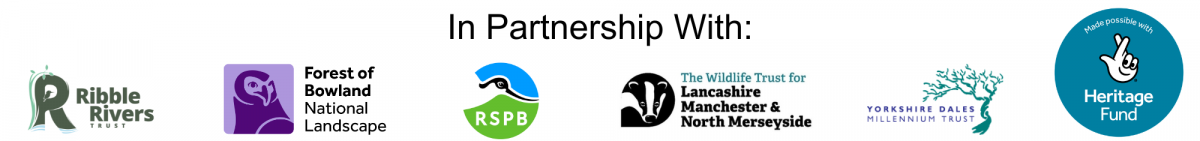 Bowland Connects Partnership Logo Bowland Connects Partnership Logo