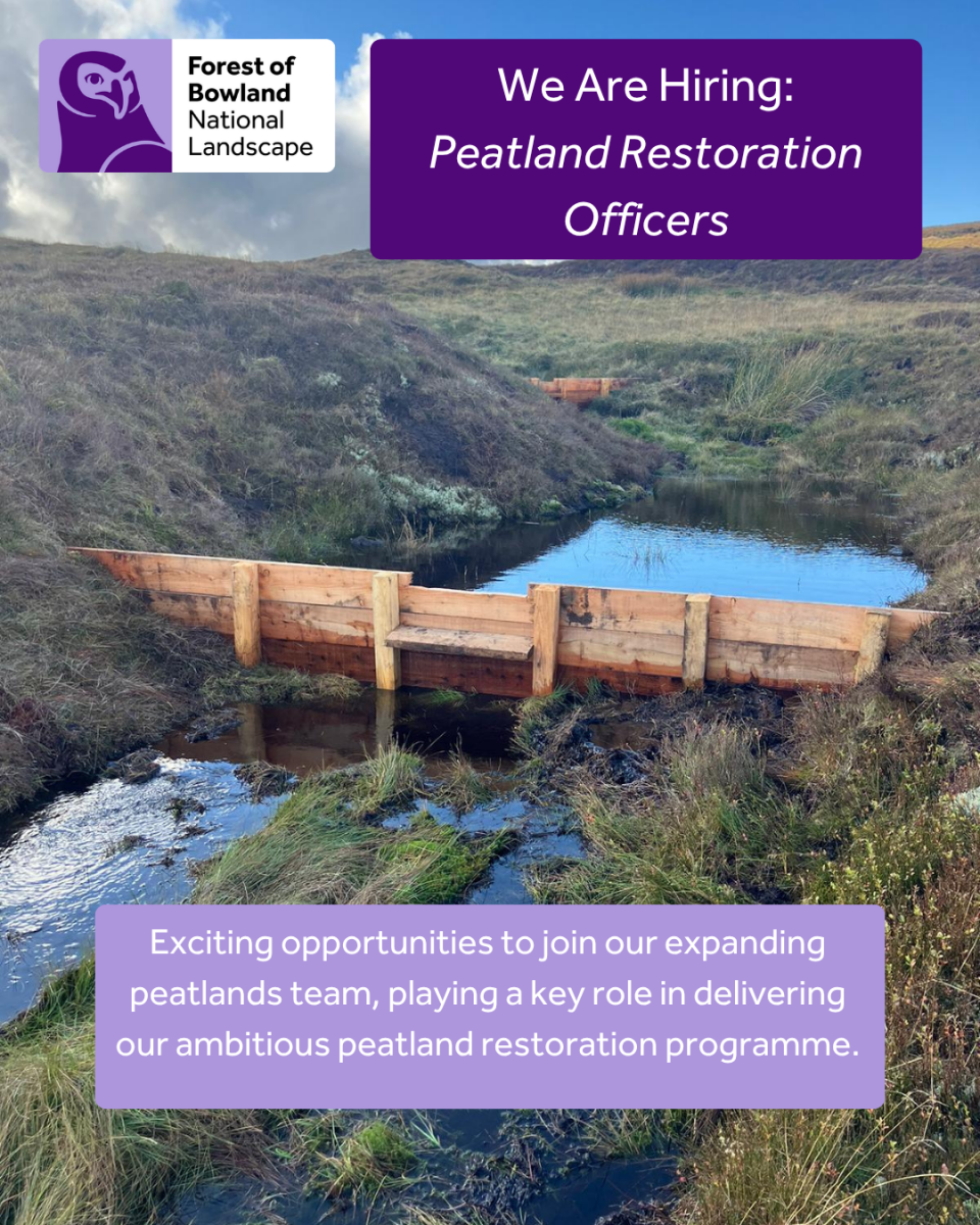 Peatland Project Officer Jobs Peatland Project Officer Jobs