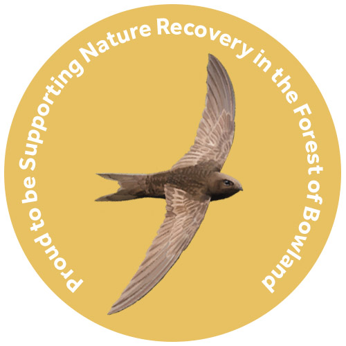 Swift Supporter Badge - illustration by Salt Marsh Studio Swift Supporter Badge - illustration by Salt Marsh Studio