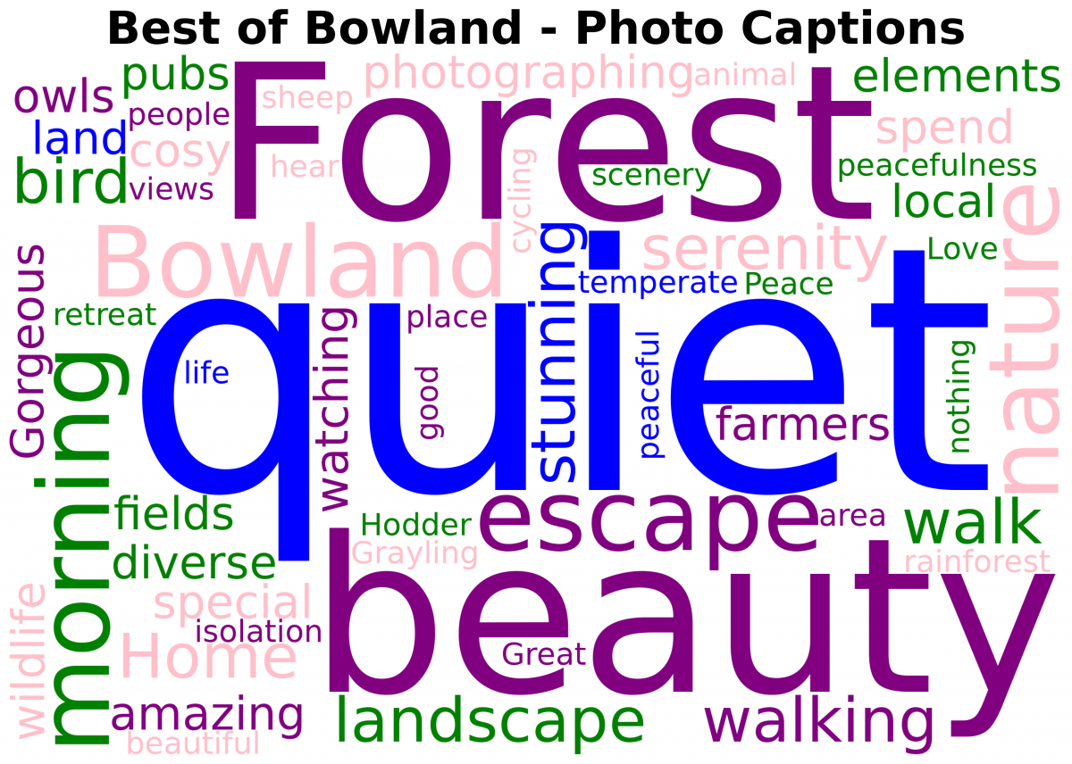 Word Cloud - Best of Bowland Word Cloud - Best of Bowland