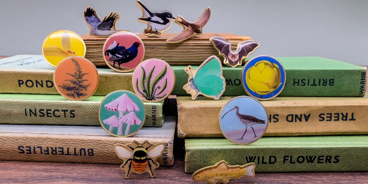 Champion Species full collection badges by Salt Marsh Studios Champion Species full collection badges by Salt Marsh Studios