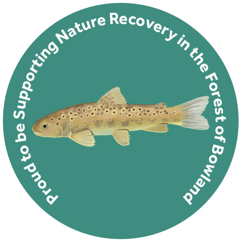 Champion Species Supporter Logo - Brown Trout Champion Species Supporter Logo - Brown Trout