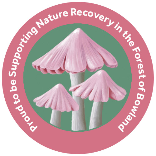 Champion Species - Ballerina WaxCap