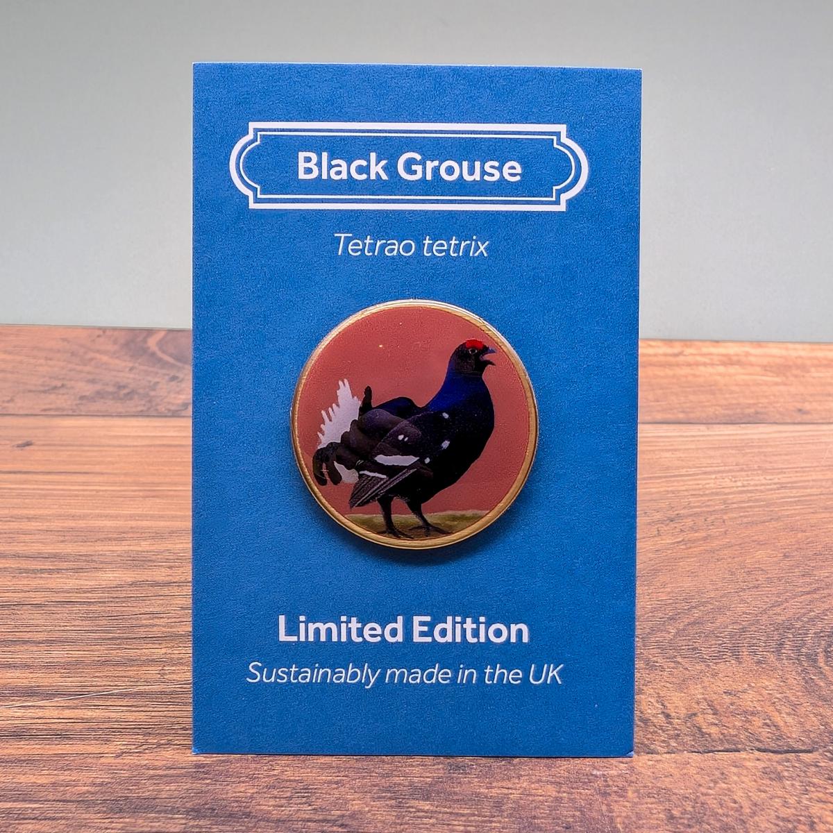 Black grouse by Saltmarsh Studios Black grouse by Saltmarsh Studios
