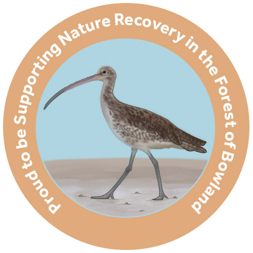 Badge image by Salt Marsh Studios Badge image by Salt Marsh Studios