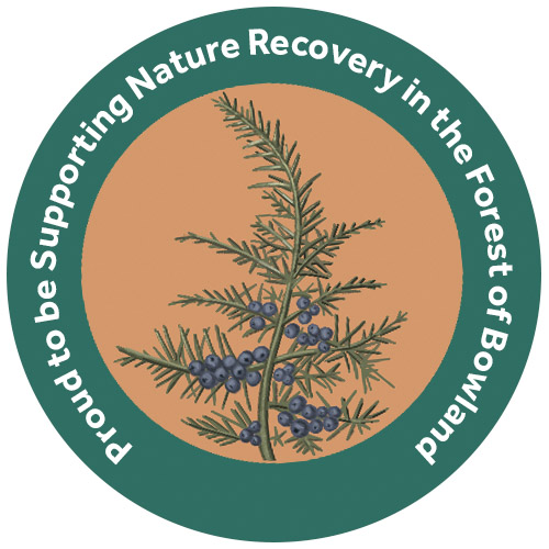 Supporter badge by Salt Marsh Studios Supporter badge by Salt Marsh Studios