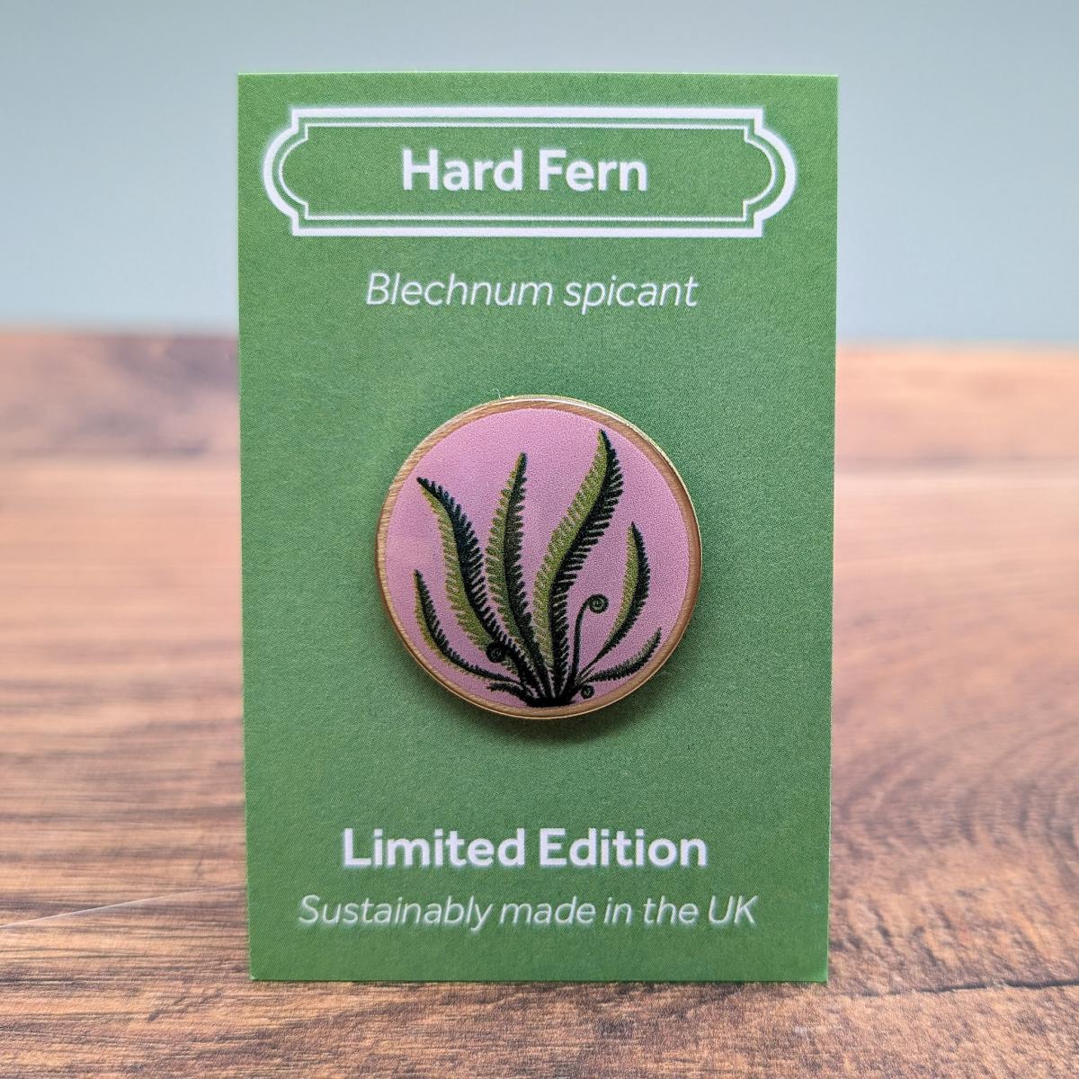 Hard fern by Saltmarsh Studios Hard fern by Saltmarsh Studios