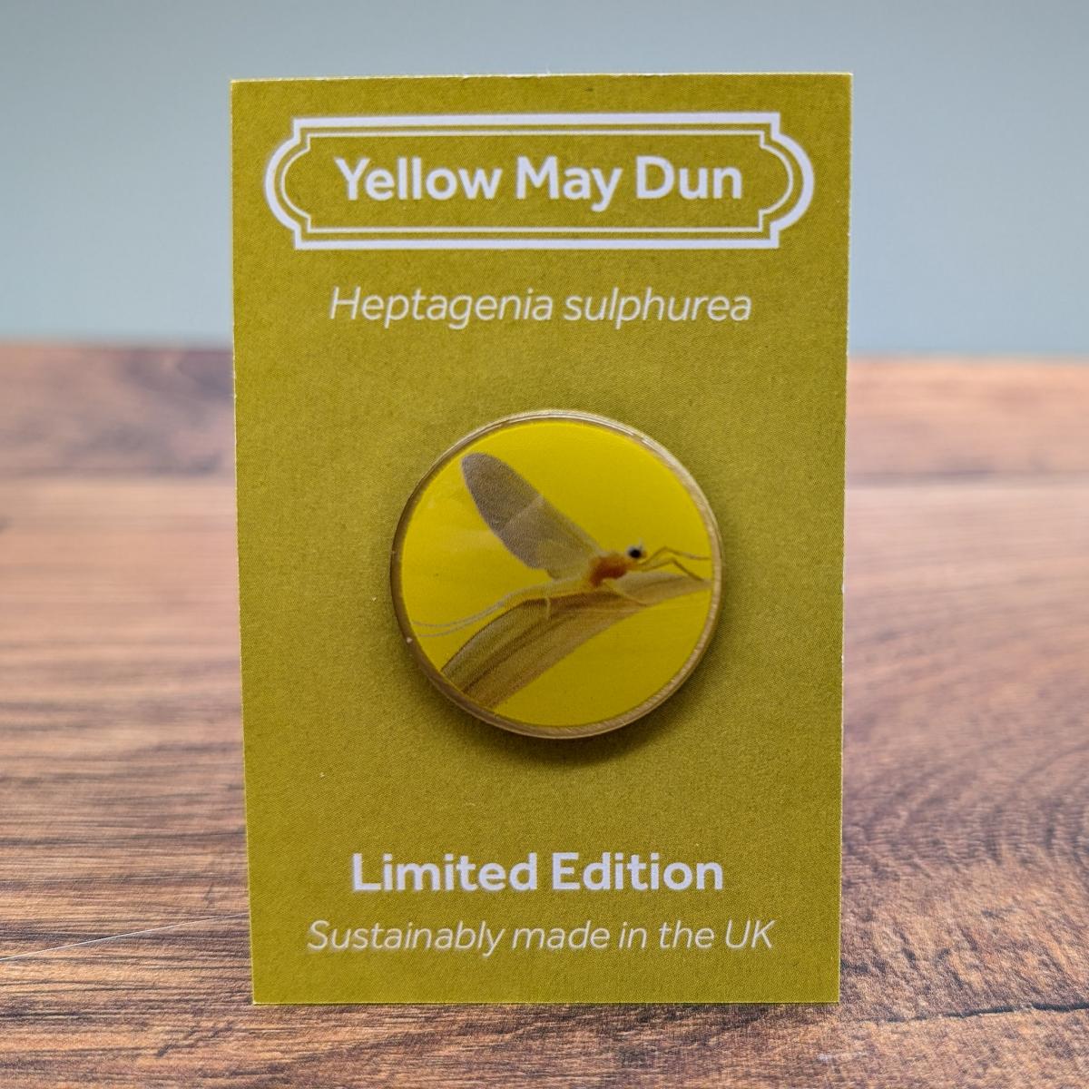 Yellow May dun by Saltmarsh Studios Yellow May dun by Saltmarsh Studios
