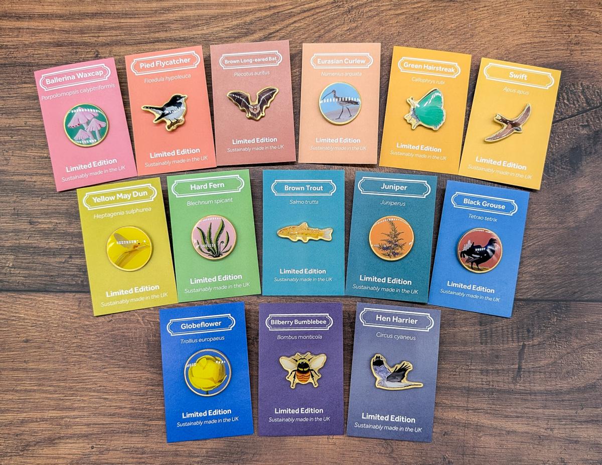 Champion Species full collection badges by Salt Marsh Studios Champion Species full collection badges by Salt Marsh Studios
