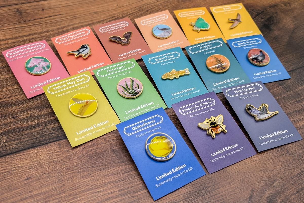 Champion Species full collection badges by Salt Marsh Studios Champion Species full collection badges by Salt Marsh Studios