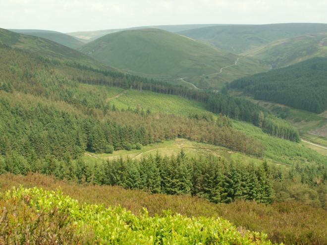 Forestry in Brennand Valley - image copyright Jon Hickling