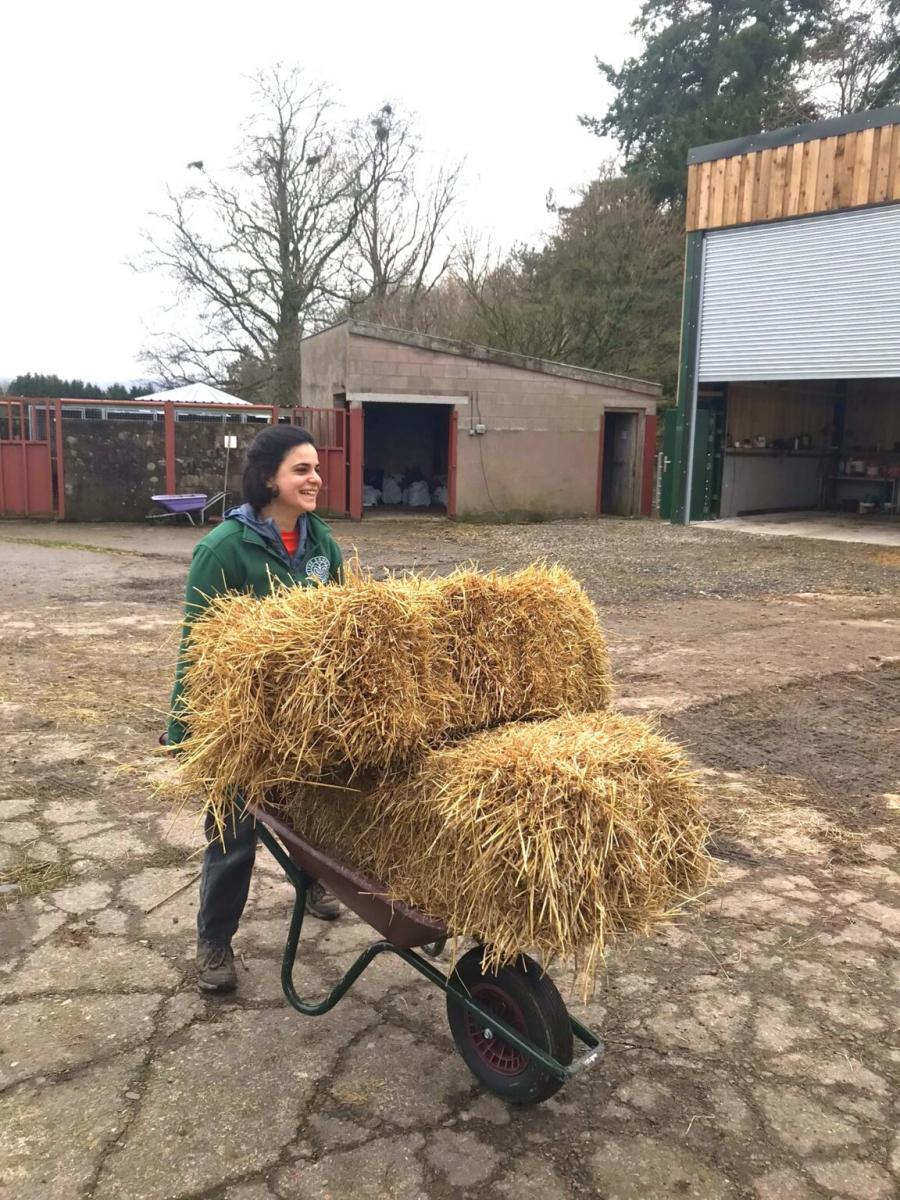 Theo-at-Low-Beckside-Farm