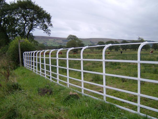 White railings (credit to Forest of Bowland National Landscape)