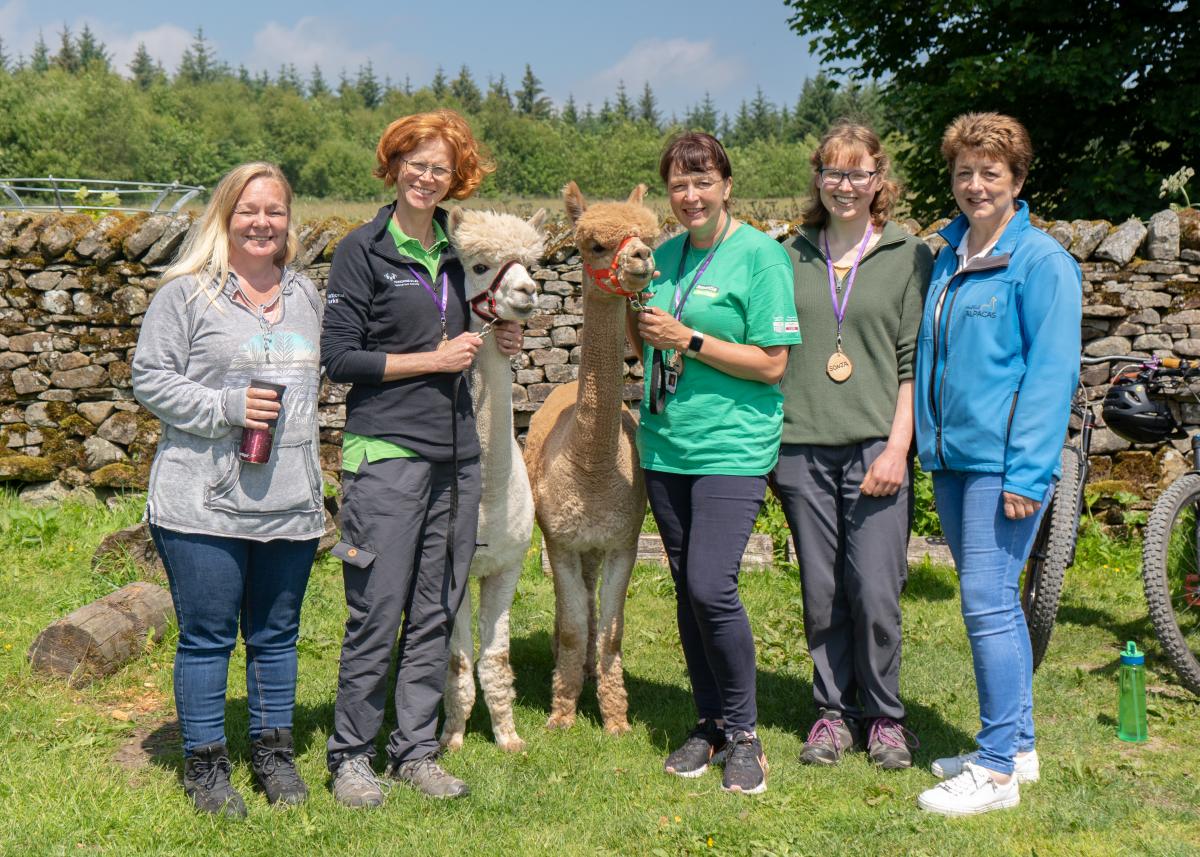 Alpaca experience  - image by Tom Pooley