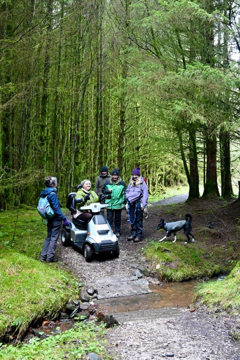 Tramper walk at Gisburn Forest