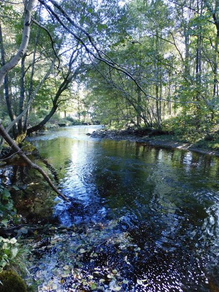 River Dunsop 