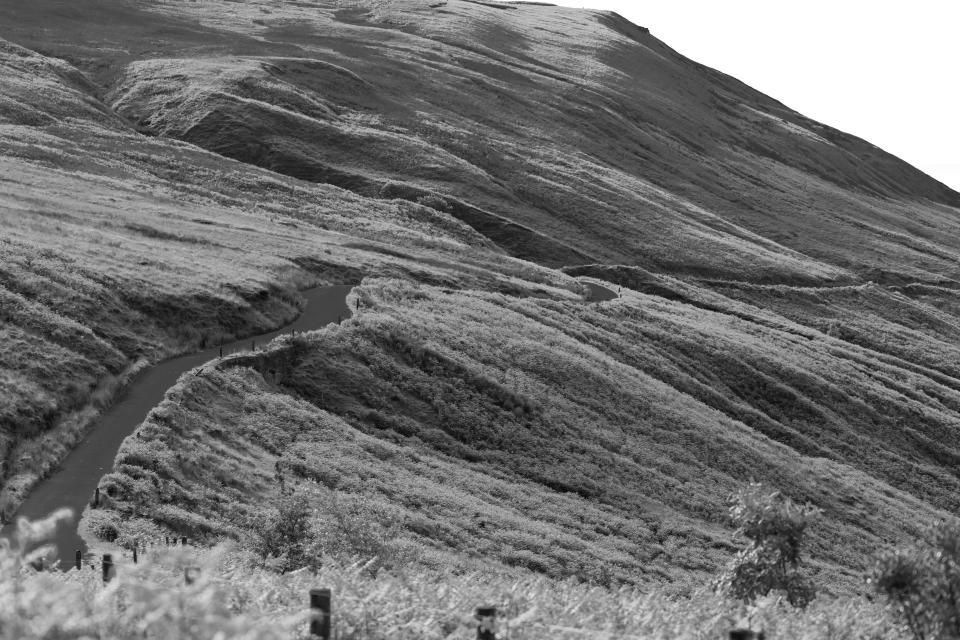 Ribbon in the landscape