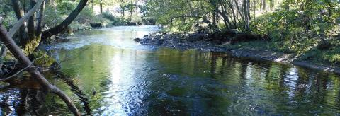 River Dunsop  © Bev Woods