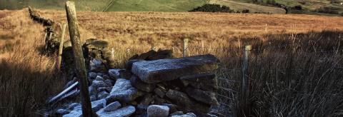 Frosty Mornimg © Andrew Cowell