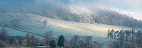 Sheep in the frost and mist. © John Eveson