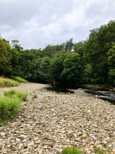 A Pleasant Stream Or Hodder © Serena Danielle