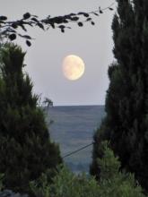 Blue Moon over Burn Moor © Jim Munday