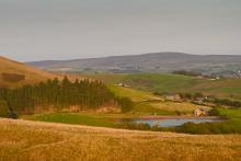 Golden Reservoir view © Keith Pepper