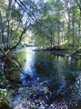 River Dunsop  © Bev Woods