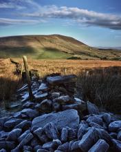 Frosty Mornimg © Andrew Cowell