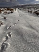 The Solo Hiker  © Ste Adair 