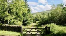 Gateway to the Forest  © Emily Nuttall