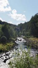 Langden Brook in the Sunshine  © Alice Nuttall