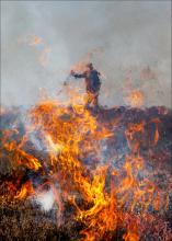 Heather Burning on Burn Moor © Jon Brook