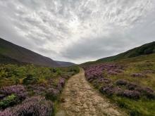 Autumn In Langden © Darren Carhart